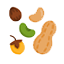 آجیل