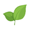 چای و دمنوش