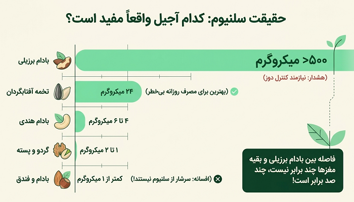 بهترین آجیل برای کم کاری تیروئید 1 بهترین آجیل برای کم کاری تیروئید بر اساس میزان واقعی سلنیوم