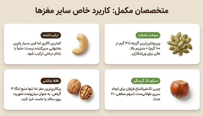 بهترین آجیل برای لاغری 1 ترکیب آجیل مناسب رژیم لاغری