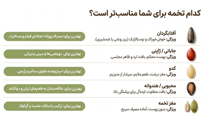 کدام نوع تخمه برای شما مناسب‌تر است؟